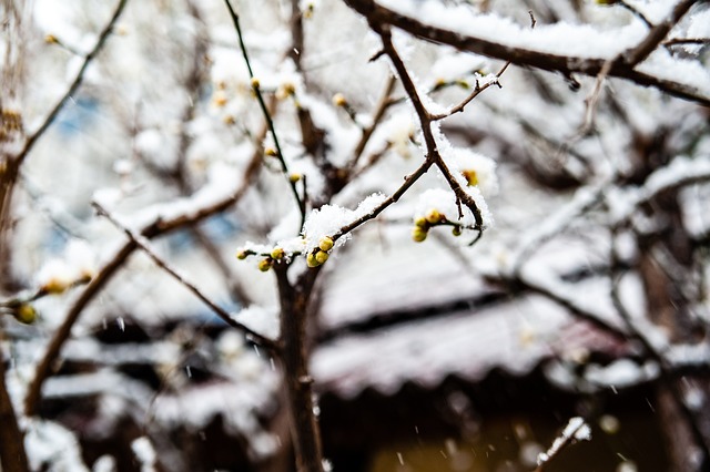 明表明