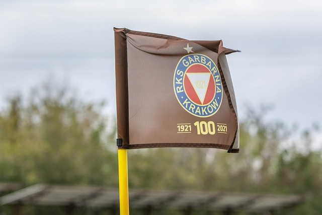 羅馬的重建 羅馬的重建