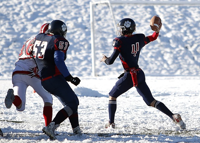 还囊括了中 还囊括了中