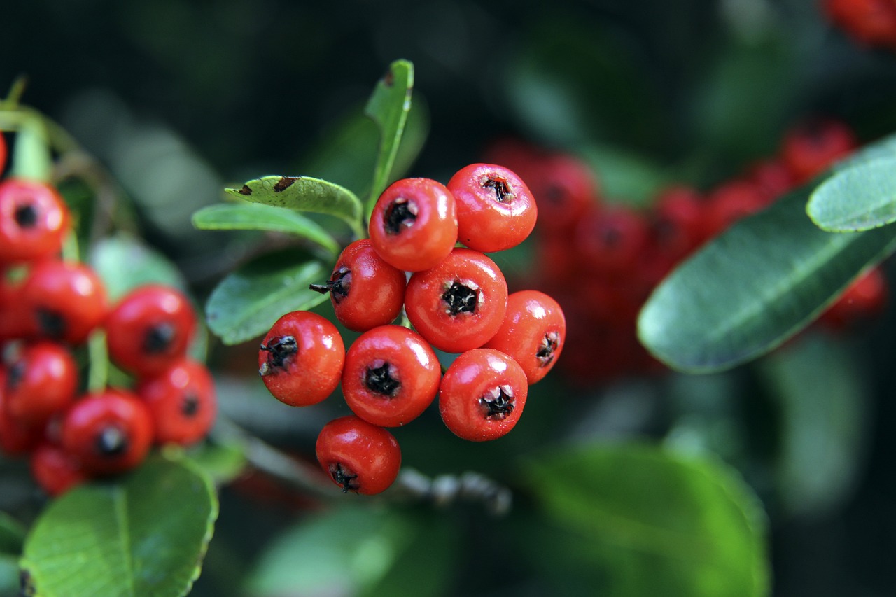 聚光灯下 聚光灯下