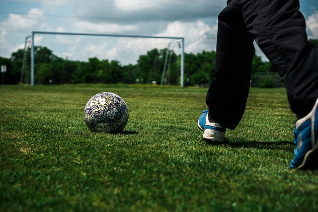 篮球训练师 篮球训练师