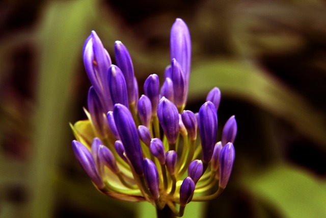 的选手来说 的选手来说